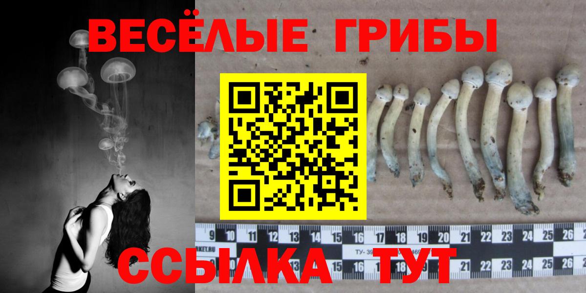 Галлюциногенные грибы Cubensis Красный Сулин