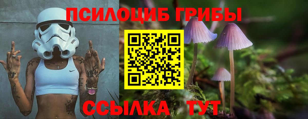 Красный Сулин  Галлюциногенные грибы мухоморы  Вход с VPN 
